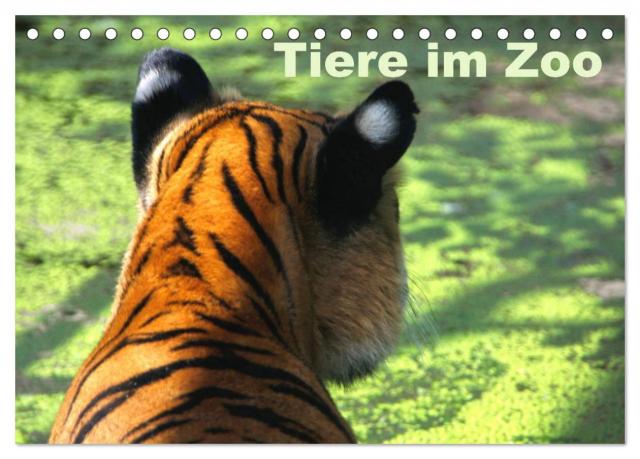 Tiere im Zoo (Tischkalender 2024 DIN A5 quer), CALVENDO Monatskalender
