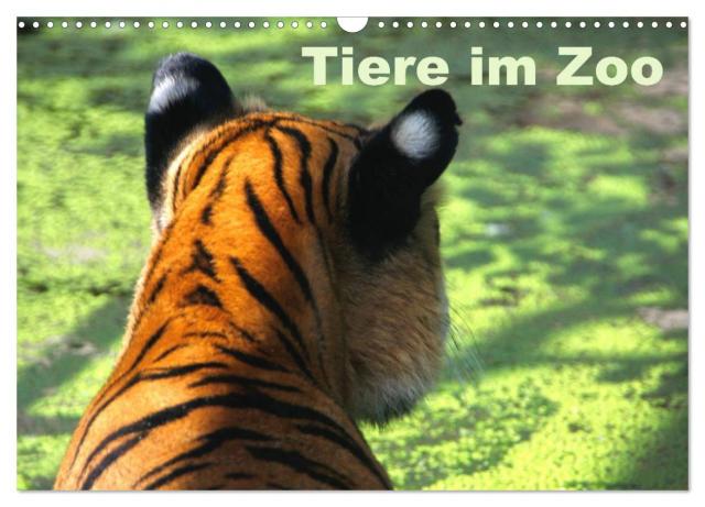 Tiere im Zoo (Wandkalender 2024 DIN A3 quer), CALVENDO Monatskalender
