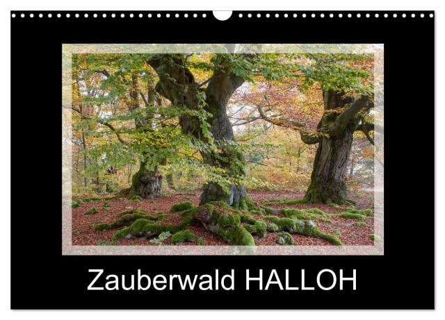 Zauberwald HALLOH (Wandkalender 2024 DIN A3 quer), CALVENDO Monatskalender