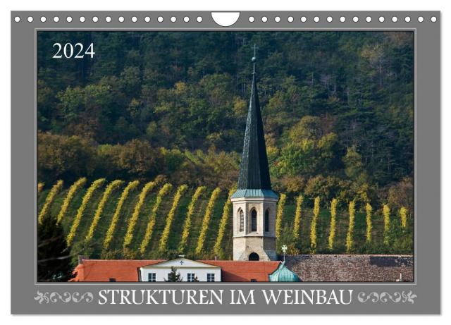 Strukturen im Weinbau (Wandkalender 2024 DIN A4 quer), CALVENDO Monatskalender