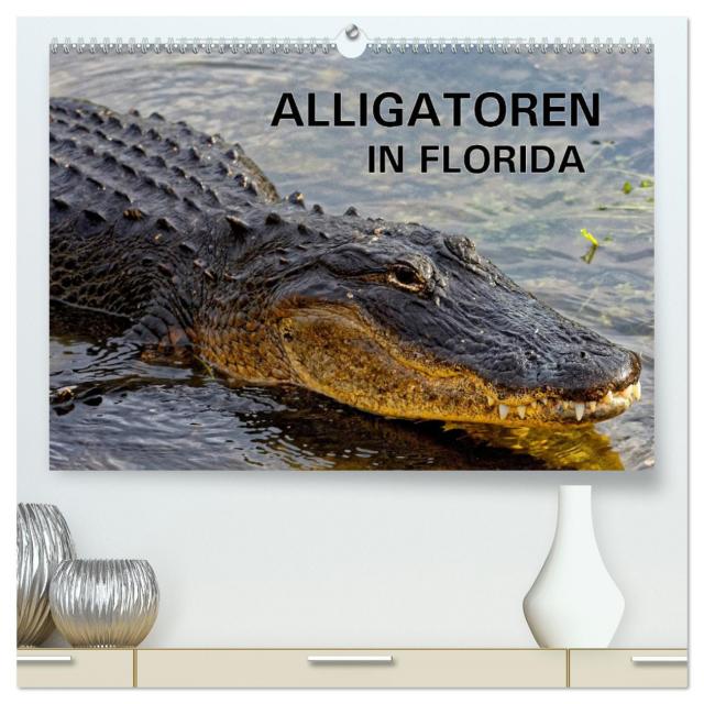 ALLIGATOREN in Florida (hochwertiger Premium Wandkalender 2024 DIN A2 quer), Kunstdruck in Hochglanz