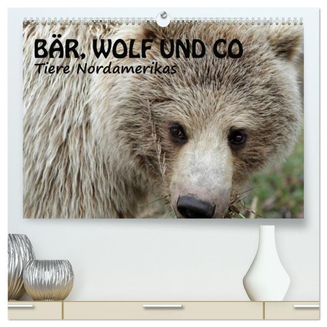 Bär, Wolf und Co - Tiere Nordamerikas (hochwertiger Premium Wandkalender 2024 DIN A2 quer), Kunstdruck in Hochglanz
