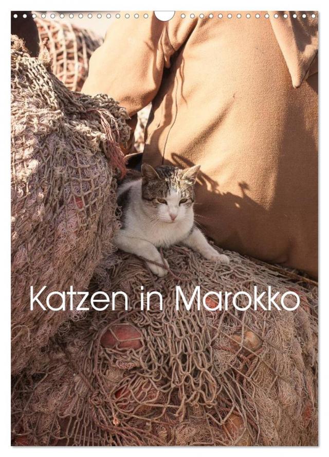 Katzen in Marokko (Wandkalender 2024 DIN A3 hoch), CALVENDO Monatskalender