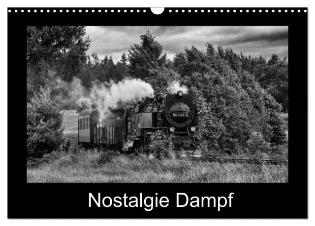Nostalgie Dampf (Wandkalender 2024 DIN A3 quer), CALVENDO Monatskalender