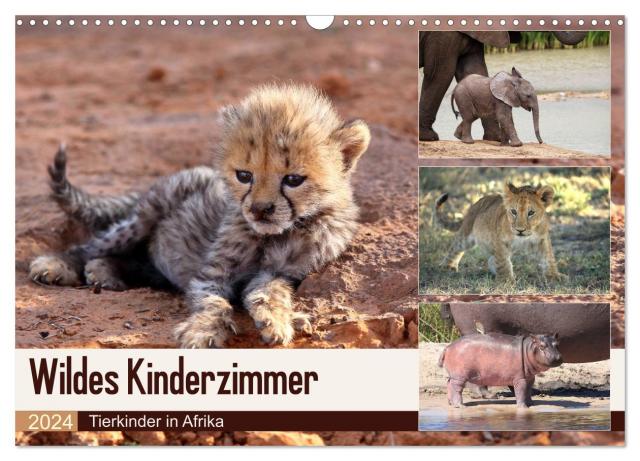 Wildes Kinderzimmer - Tierkinder in Afrika (Wandkalender 2024 DIN A3 quer), CALVENDO Monatskalender