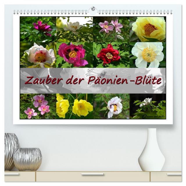 Zauber der Päonien-Blüte (hochwertiger Premium Wandkalender 2024 DIN A2 quer), Kunstdruck in Hochglanz