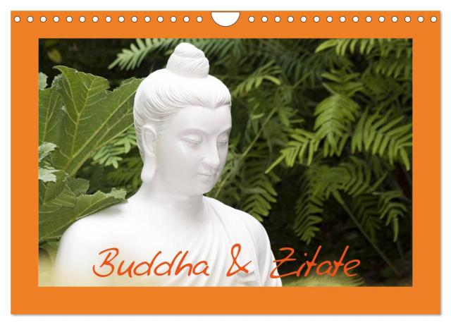 Buddha & Zitate (Wandkalender 2024 DIN A4 quer), CALVENDO Monatskalender