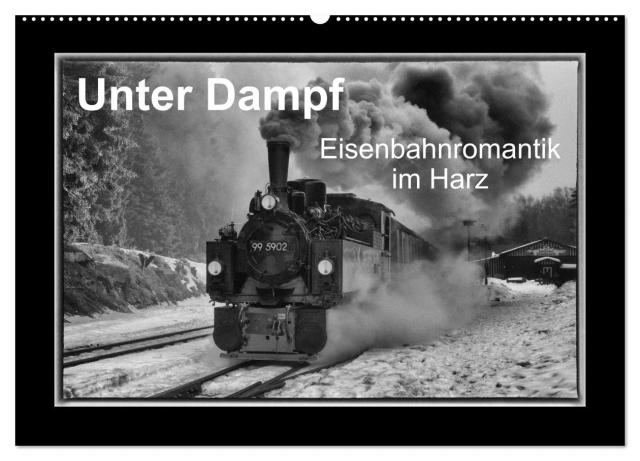 Unter Dampf - Eisenbahnromantik im Harz (Wandkalender 2024 DIN A2 quer), CALVENDO Monatskalender