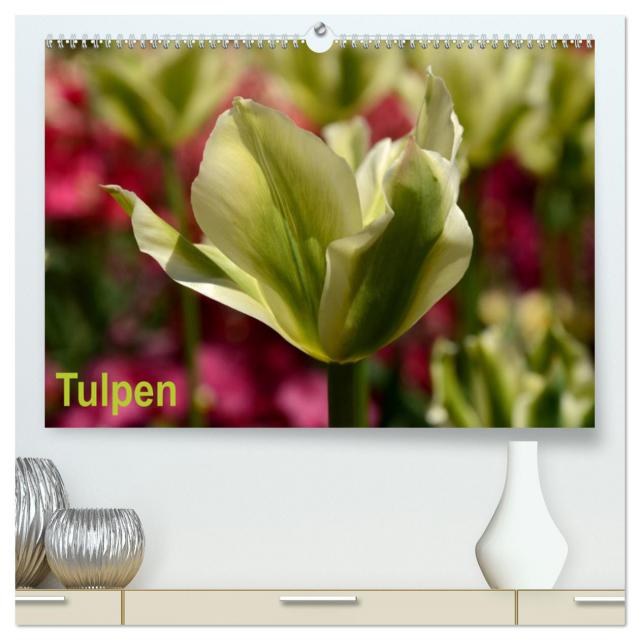 Tulpen (hochwertiger Premium Wandkalender 2024 DIN A2 quer), Kunstdruck in Hochglanz