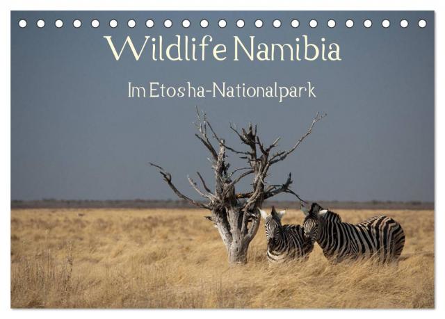 Wildlife Namibia (Tischkalender 2024 DIN A5 quer), CALVENDO Monatskalender