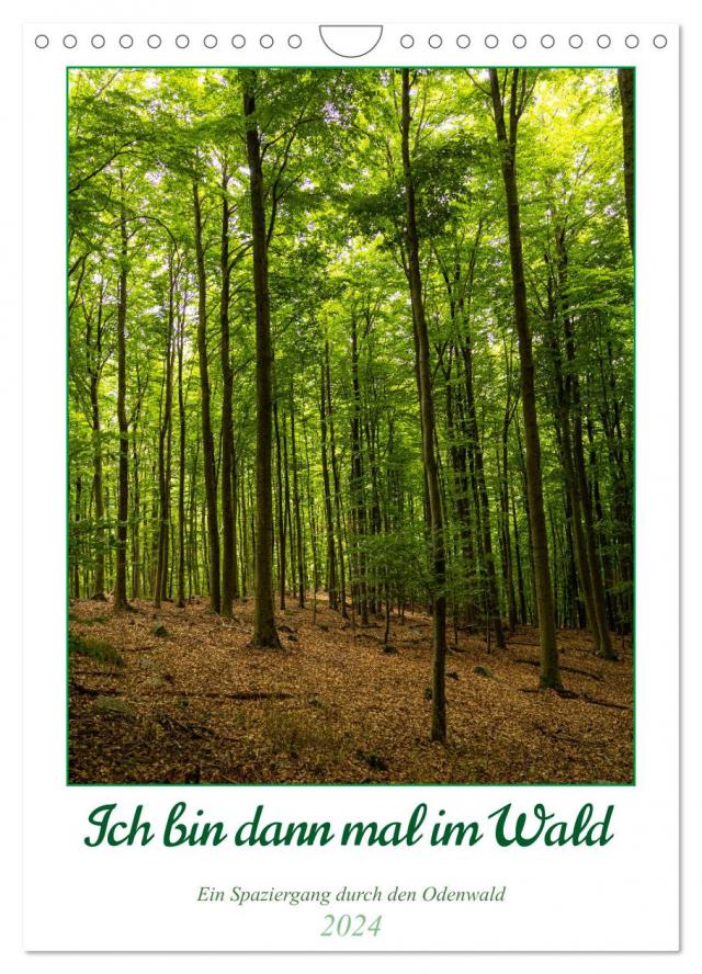 Ich bin dann mal im Wald (Wandkalender 2024 DIN A4 hoch), CALVENDO Monatskalender
