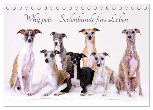 Whippets - Seelenhunde fürs Leben (Tischkalender 2024 DIN A5 quer), CALVENDO Monatskalender