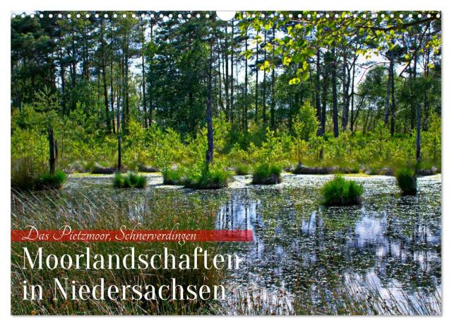 Niedersachsens Moorlandschaften - Das Pietzmoor, Schneverdingen (Wandkalender 2024 DIN A3 quer), CALVENDO Monatskalender