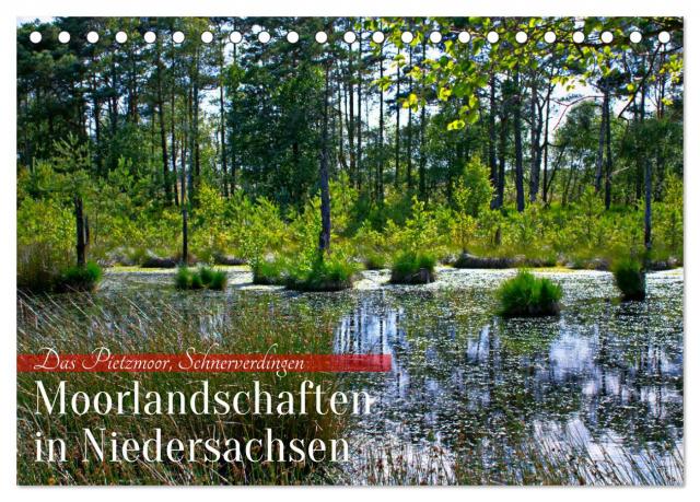 Niedersachsens Moorlandschaften - Das Pietzmoor, Schneverdingen (Tischkalender 2024 DIN A5 quer), CALVENDO Monatskalender