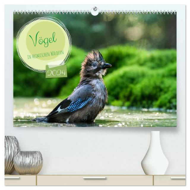 Vögel in heimischen Wäldern (hochwertiger Premium Wandkalender 2024 DIN A2 quer), Kunstdruck in Hochglanz