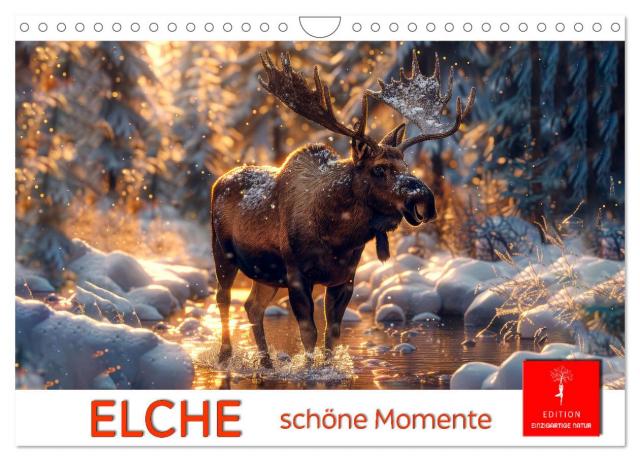 Elche - schöne Momente (Wandkalender 2025 DIN A4 quer), CALVENDO Monatskalender