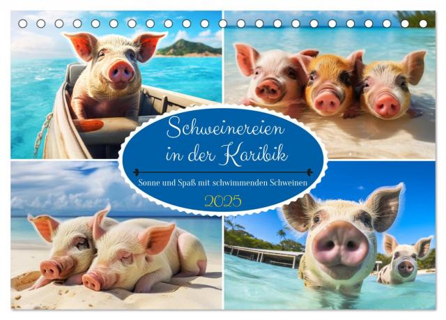 Schweinereien in der Karibik. Sonne und Spaß mit schwimmenden Schweinen (Tischkalender 2025 DIN A5 quer), CALVENDO Monatskalender