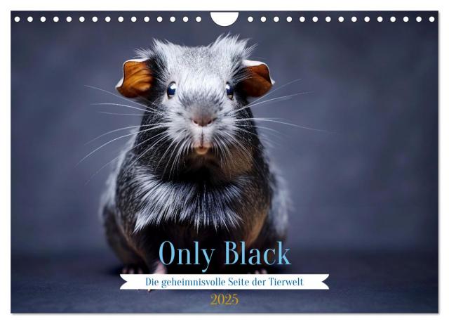 Only Black (Wandkalender 2025 DIN A4 quer), CALVENDO Monatskalender