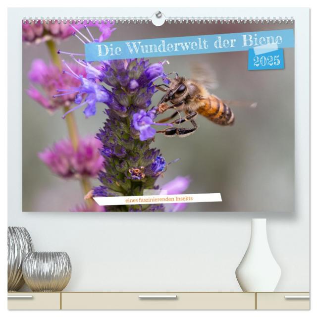 Die Wunderwelt der Biene (hochwertiger Premium Wandkalender 2025 DIN A2 quer), Kunstdruck in Hochglanz