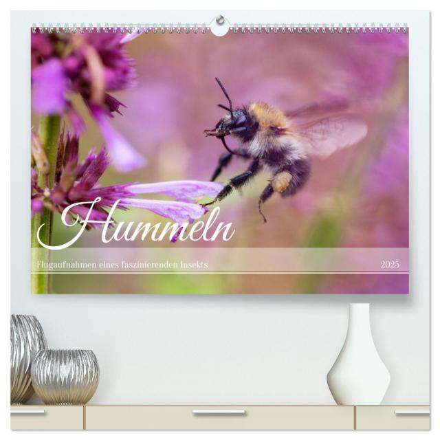 Hummeln - Flugaufnahmen eines faszinierenden Insekts (hochwertiger Premium Wandkalender 2025 DIN A2 quer), Kunstdruck in Hochglanz