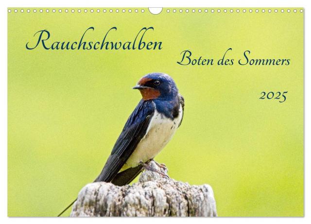 Rauchschwalben - Boten des Sommers (Wandkalender 2025 DIN A3 quer), CALVENDO Monatskalender
