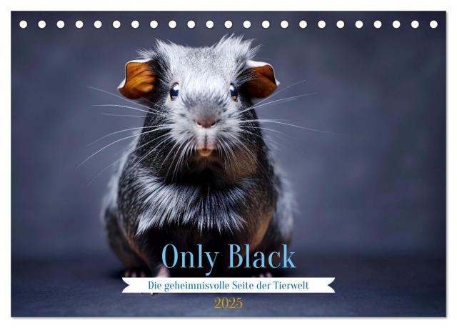 Only Black (Tischkalender 2025 DIN A5 quer), CALVENDO Monatskalender