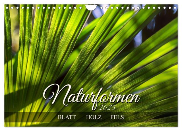Naturformen, Blatt, Holz, Fels (Wandkalender 2025 DIN A4 quer), CALVENDO Monatskalender