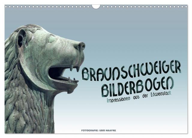 Braunschweiger Bilderbogen (Wandkalender 2025 DIN A3 quer), CALVENDO Monatskalender