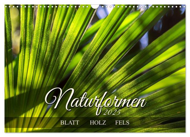 Naturformen, Blatt, Holz, Fels (Wandkalender 2025 DIN A3 quer), CALVENDO Monatskalender