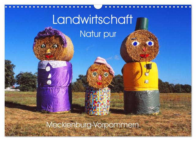 Landwirtschaft Natur pur Mecklenburg-Vorpommern (Wandkalender 2025 DIN A3 quer), CALVENDO Monatskalender