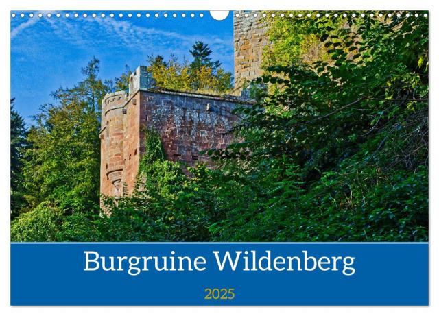 Burg Wildenberg (Wandkalender 2025 DIN A3 quer), CALVENDO Monatskalender