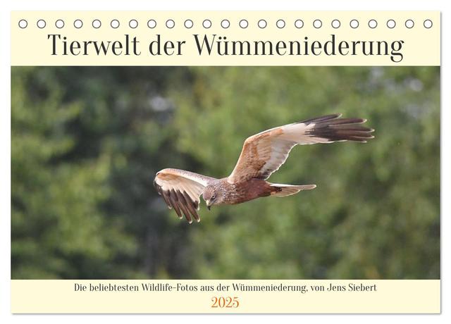 Tierwelt der Wümmeniederung (Tischkalender 2025 DIN A5 quer), CALVENDO Monatskalender