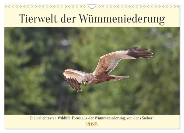 Tierwelt der Wümmeniederung (Wandkalender 2025 DIN A3 quer), CALVENDO Monatskalender