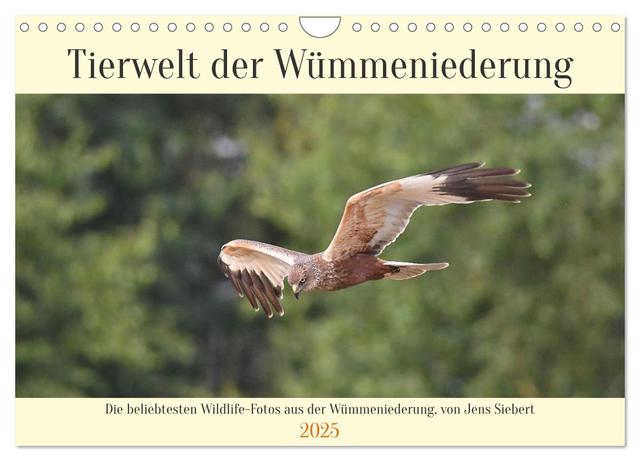 Tierwelt der Wümmeniederung (Wandkalender 2025 DIN A4 quer), CALVENDO Monatskalender