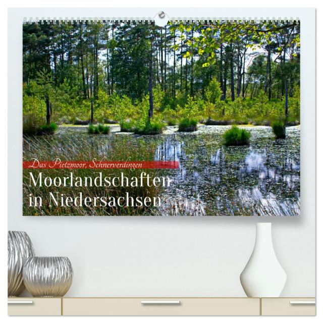 Niedersachsens Moorlandschaften - Das Pietzmoor, Schneverdingen (hochwertiger Premium Wandkalender 2025 DIN A2 quer), Kunstdruck in Hochglanz