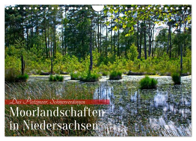 Niedersachsens Moorlandschaften - Das Pietzmoor, Schneverdingen (Wandkalender 2025 DIN A4 quer), CALVENDO Monatskalender