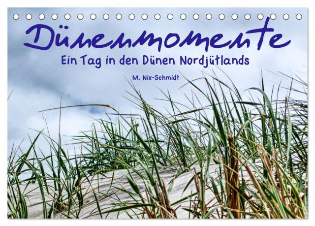 Dünenmomente - Ein Tag in den Dünen Nordjütlands (Tischkalender 2025 DIN A5 quer), CALVENDO Monatskalender