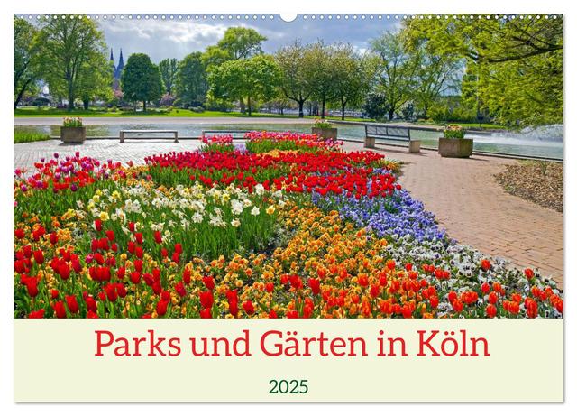 Parks und Gärten in Köln (Wandkalender 2025 DIN A2 quer), CALVENDO Monatskalender