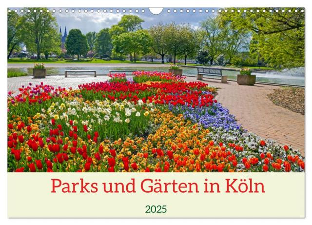 Parks und Gärten in Köln (Wandkalender 2025 DIN A3 quer), CALVENDO Monatskalender