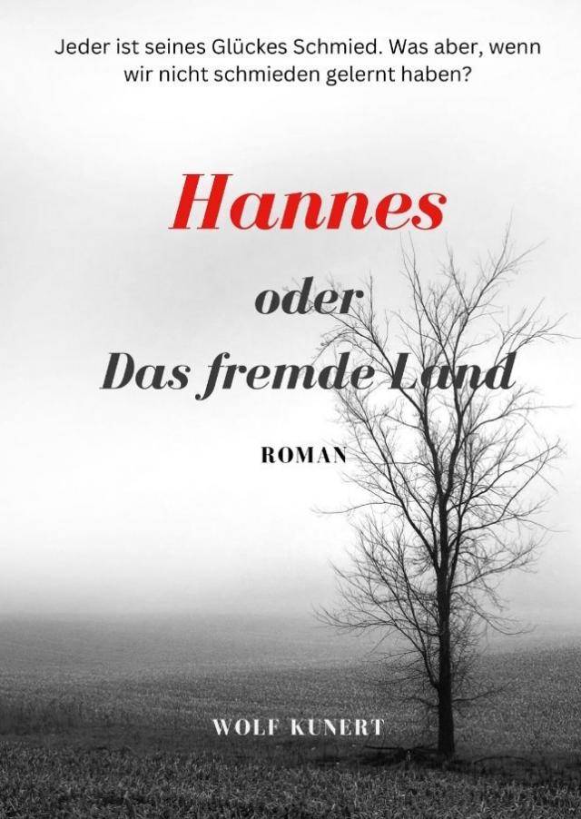 Hannes oder Das fremde Land
