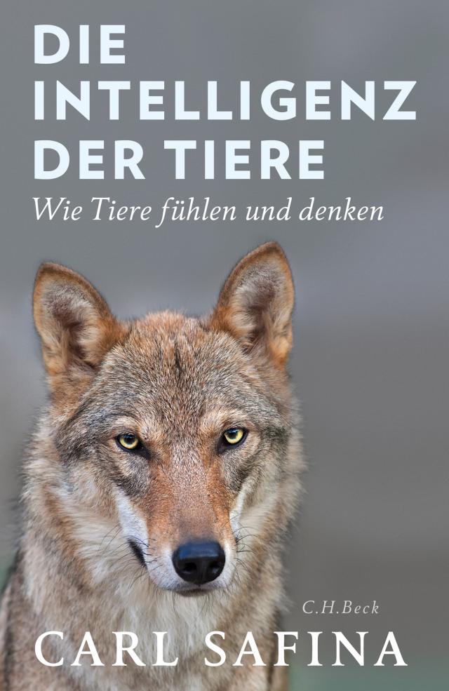 Die Intelligenz der Tiere Wie Tiere fühlen und denken. 25.10.2017. Hardback.