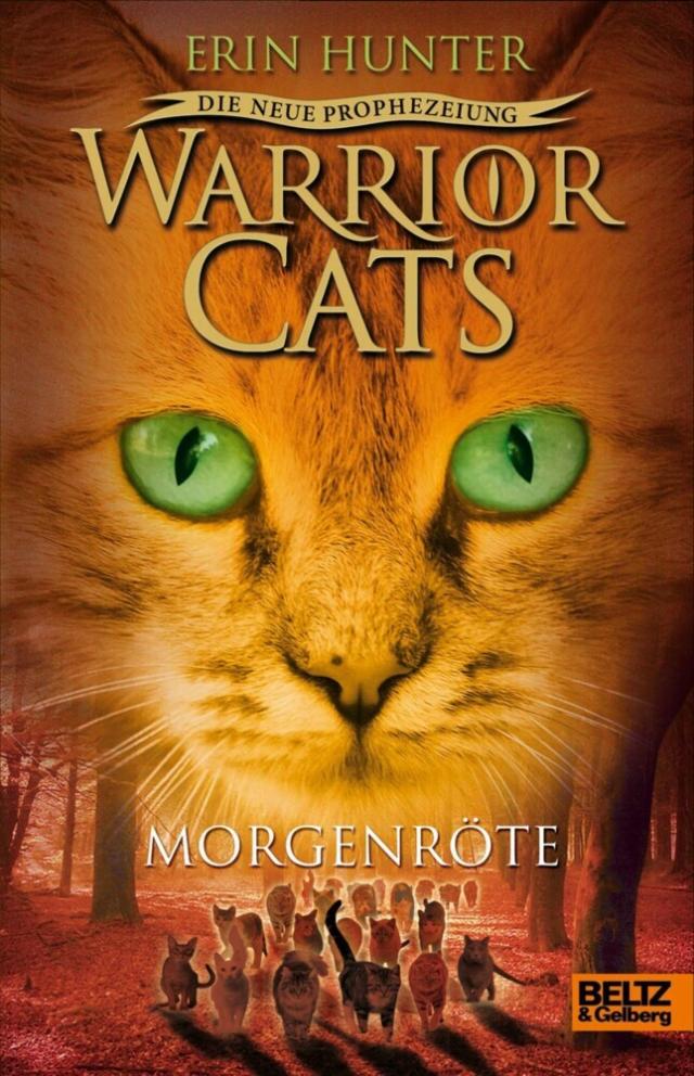 Warrior Cats - Die neue Prophezeiung. Morgenröte Warrior Cats  