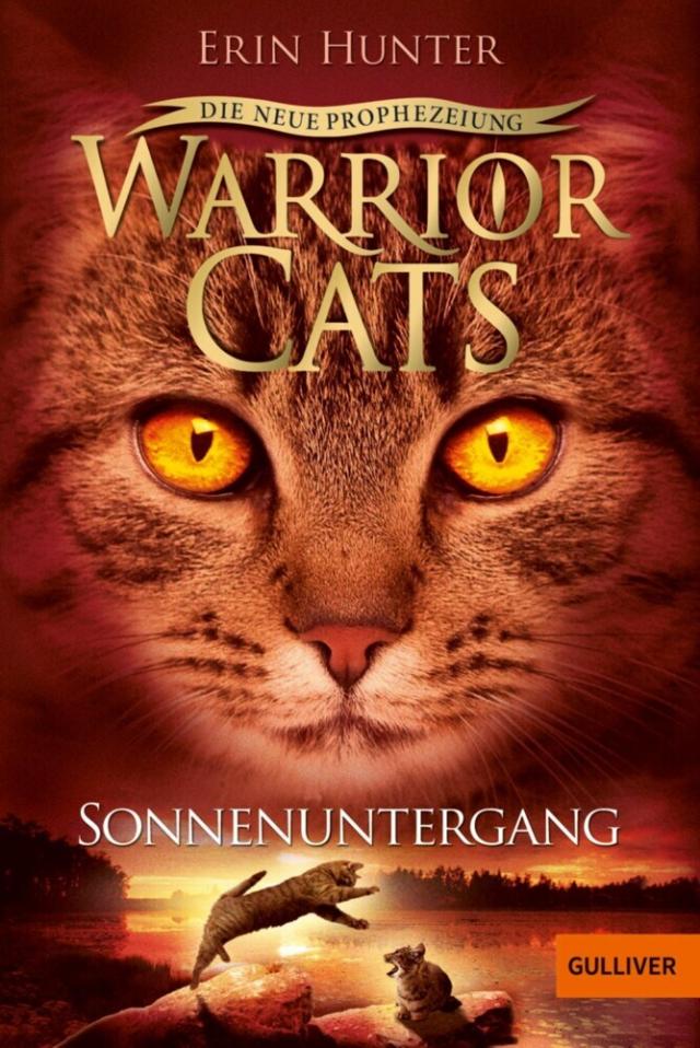 Warrior Cats - Die neue Prophezeiung. Sonnenuntergang Warrior Cats  