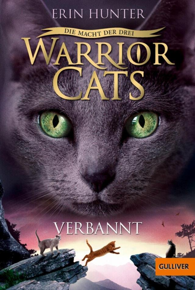Warrior Cats - Die Macht der drei, Verbannt Warrior Cats  