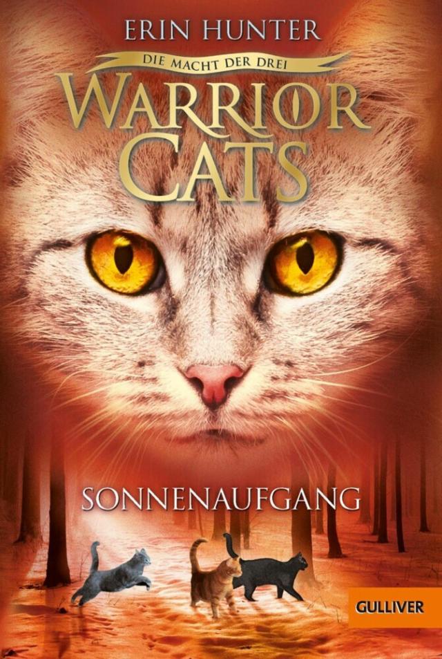Warrior Cats - Die Macht der drei. Sonnenaufgang Warrior Cats  