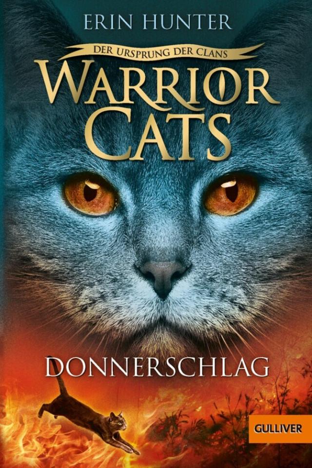 Warrior Cats - Der Ursprung der Clans. Donnerschlag Warrior Cats  