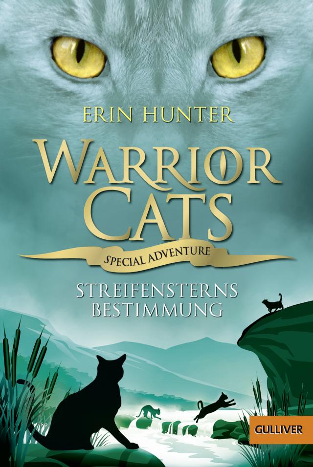 Streifensterns Bestimmung <Warrior Cats - Special Adventure> Bd 4 Tb
