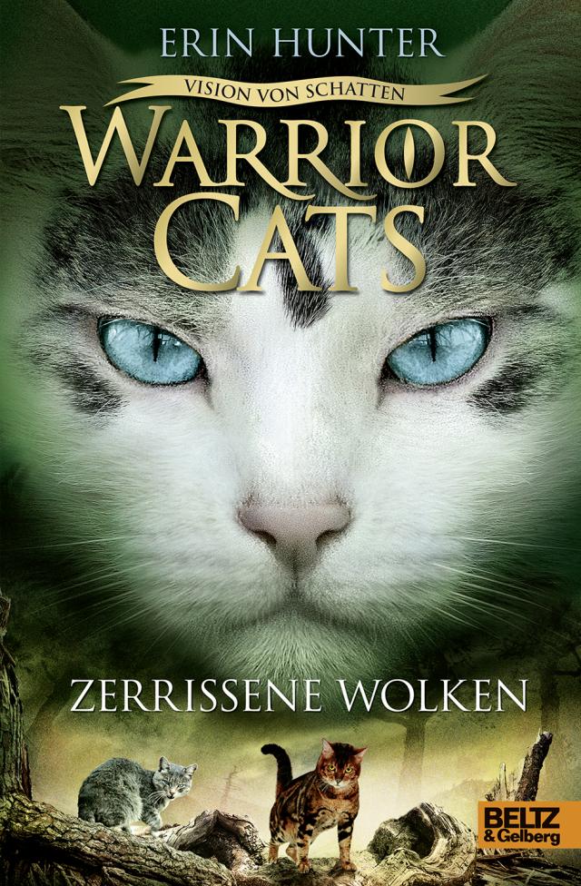 Zerrissene Wolken <Warrior Cats VI>  Bd 3