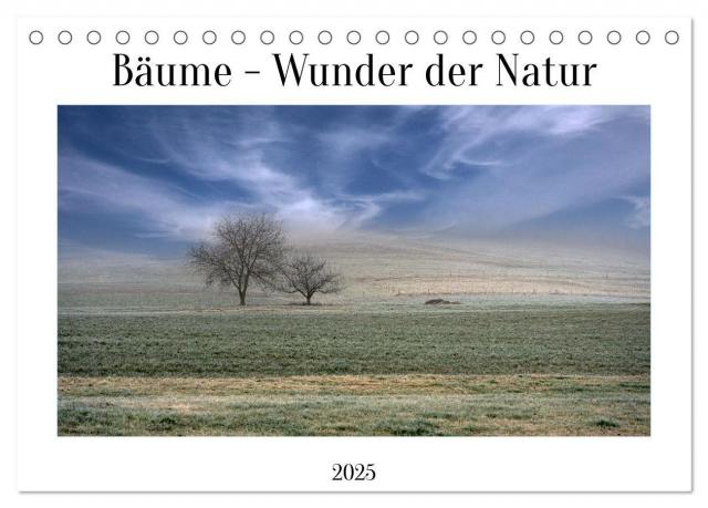 Bäume - Wunder der Natur (Tischkalender 2025 DIN A5 quer), CALVENDO Monatskalender