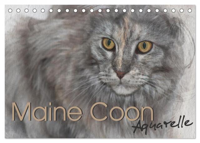 Maine Coon Aquarelle (Tischkalender 2025 DIN A5 quer), CALVENDO Monatskalender